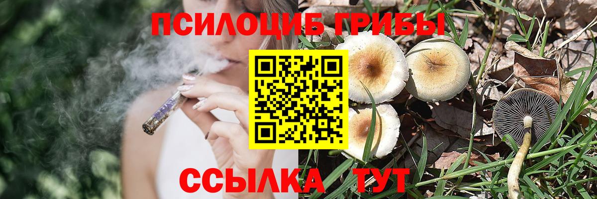 Псилоцибиновые грибы прущие грибы  Вход с VPN  цена   Псилоцибиновые грибы мухоморы  Строитель 