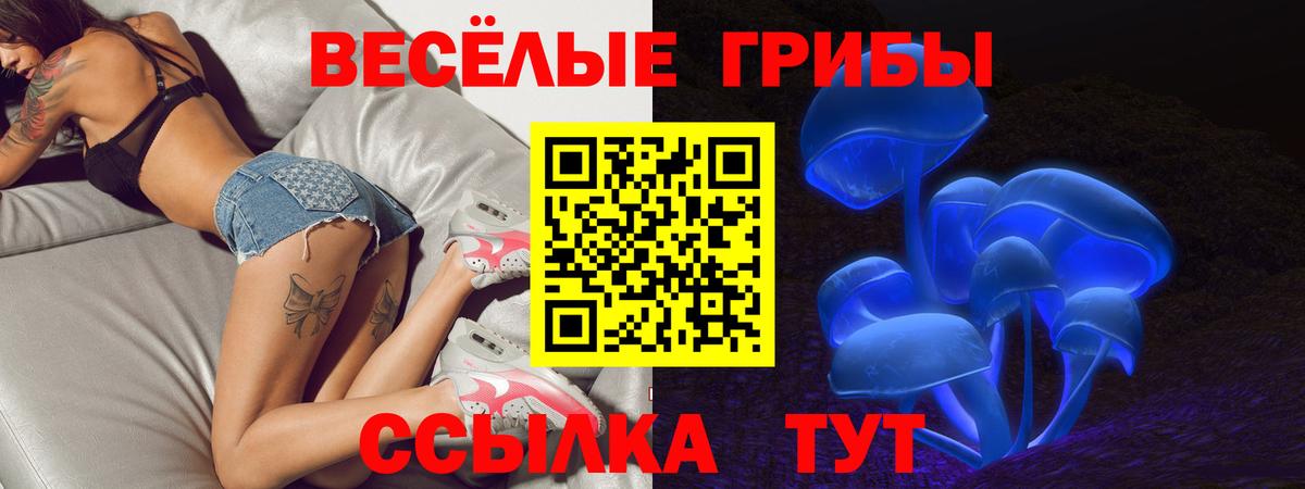 Галлюциногенные грибы мухоморы Строитель